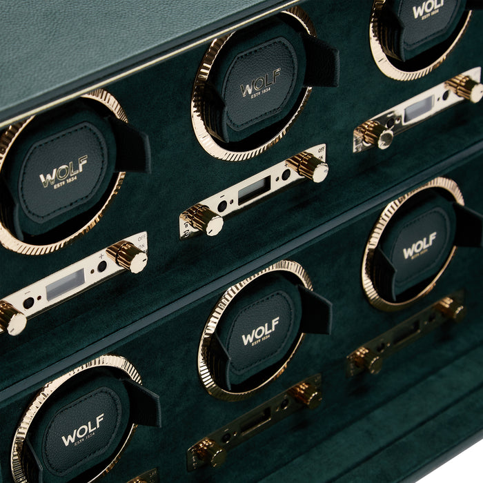Caja de Movimiento British Racing Green 8 pzas